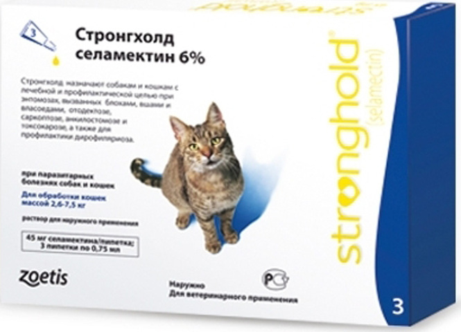 Стронгхолд