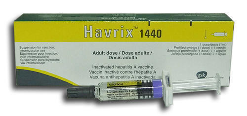 Хаврикс 1440 взрослый